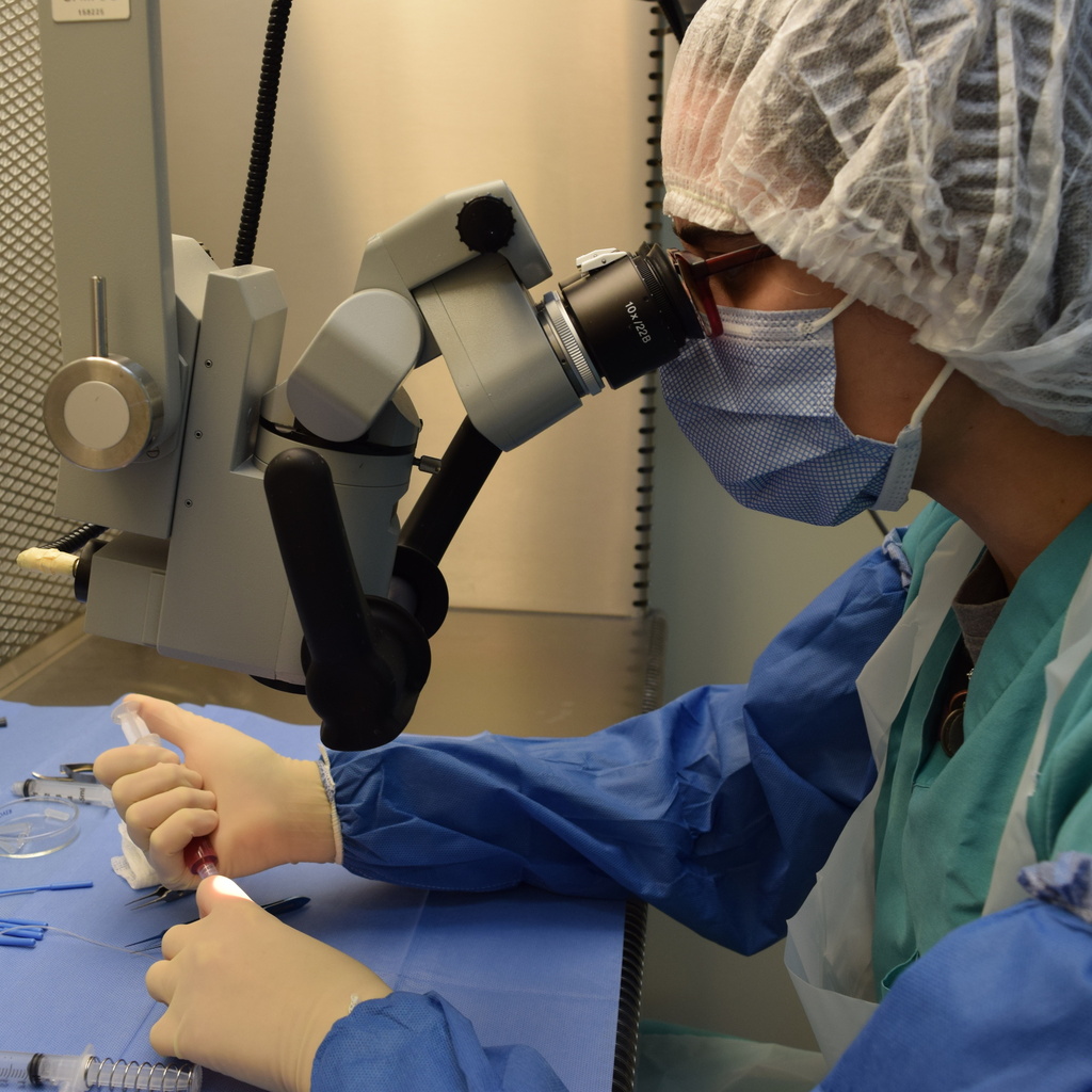 Chelsea Green, Processing Services Manager, works on the DMEK surgical technique.